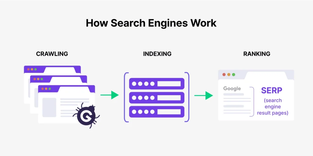 How to Rank High on the Search Engine Results Page